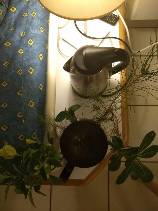 Albertine Appt 112 Moliets-et-Maa Eksteriør billede